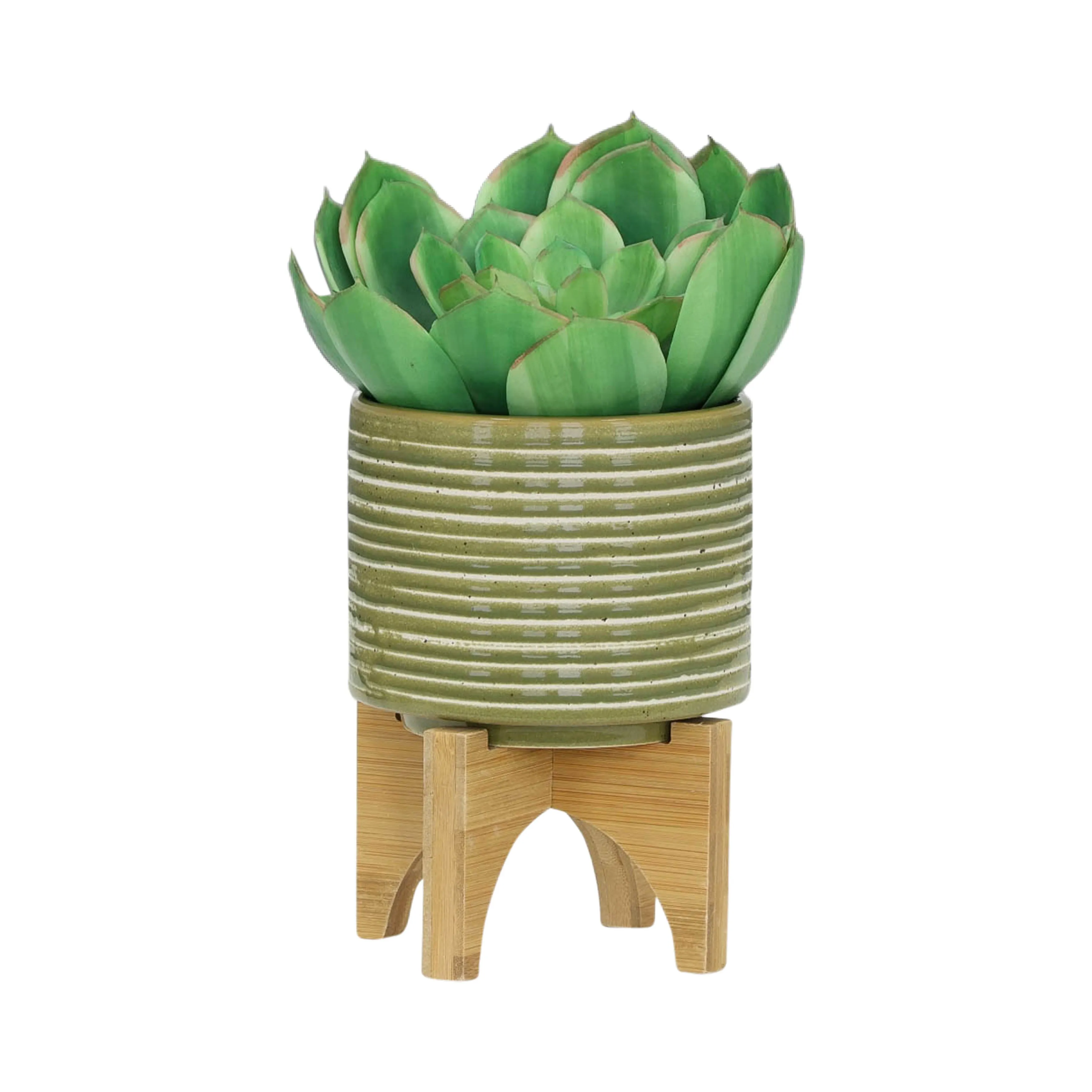 CER, S/2 5/8"  PLANTER ON WOODEN STAND, OLIVE