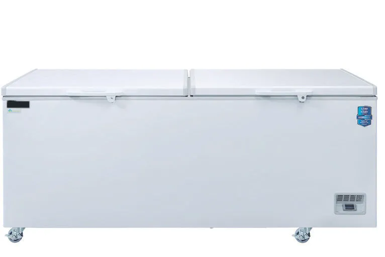 Chef AAA - BT-620 71" Chest Freezer With Solid Door