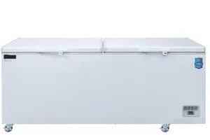 Chef AAA - BT-620 71" Chest Freezer With Solid Door