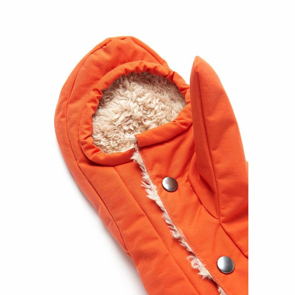 Cover Down Mittens Hot Pick of the Day