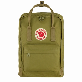 Best Deal Today Todays Best Deal Fjallraven Kanken Laptop 13 Foliage Green
