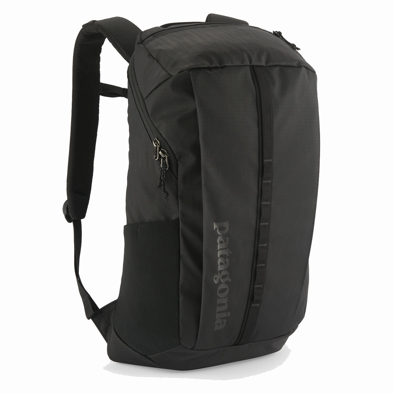Patagonia Black Hole Pack 25L Black Exclusive Online Deal Hot Offer Event