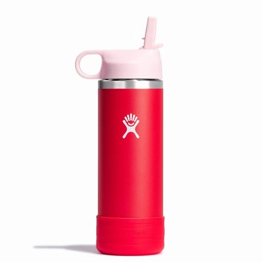 Hydroflask Kids - Goji Mega Hot Offer