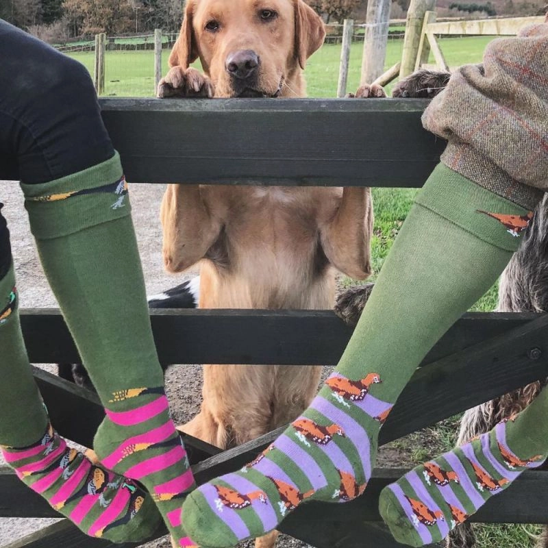 Dont Wait Save MustShop Sale Shuttle Socks - Green And Purple Grouse Shooting Socks