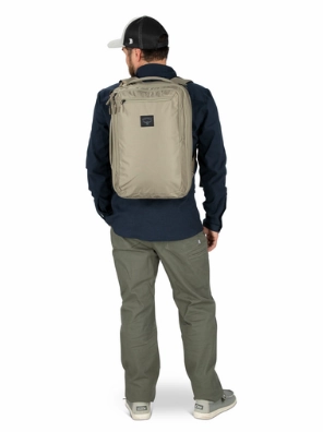 Mega Sale Now Osprey Aoede Briefpack 22L