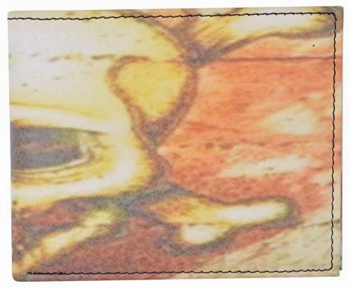 Today Only Savings Save More Now Mens Bifold Wallet Picture Skull Logo With Printed Gift Box