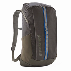 Patagonia Black Hole Pack 25L Basin Green Online Exclusive Steal