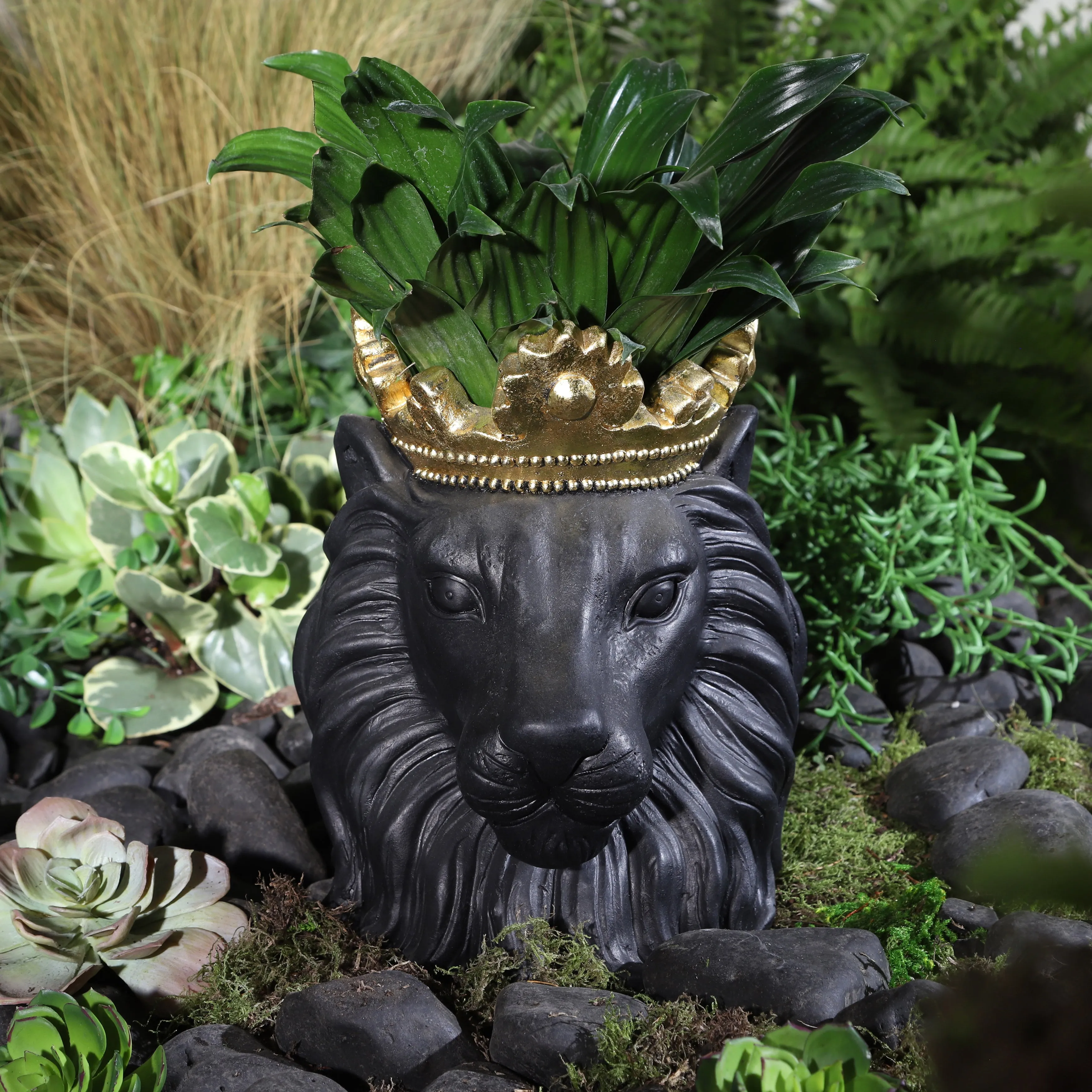 RESIN 9" LION W/ CROWN, BLACK