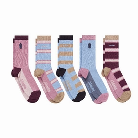 Dont Wait Save Today Schoffel Bamboo Ladies Socks (Box Of 5) 4-7 Uk - Lyndon Mix