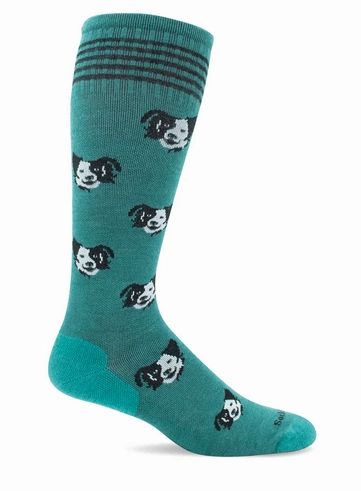 Sockwell Women'S Canine Fancy Graduated Compression Sock Hot Pick Online Grab It Now
