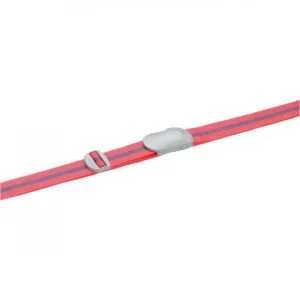 Todays Steal Go Travel Luggage Strap
