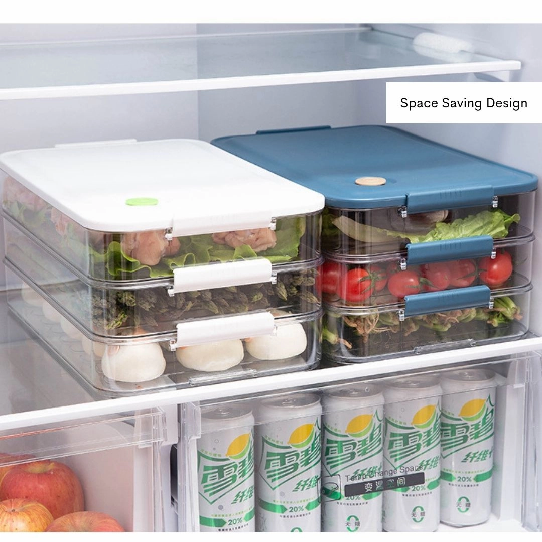Terrafresh Home Multi-Layer Refrigerator Food Storage Containers with Lid