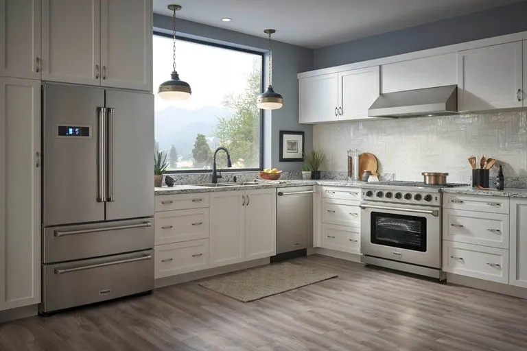 Thor Kitchen 24 inch. Stainless Steel Dishwasher - Energy Star - HDW2401SS